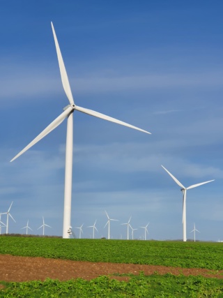 Wind energy yield assessment